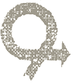 CONVERTIDORA DE POLIMEROS S.A de C.V